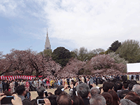 内閣総理大臣主催「桜を見る会」に出席