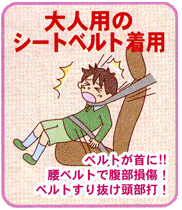 大人用のシートベルトを着用して衝突するとベルトで首が締まったり、腰ベルトでの腹部損傷やベルトすり抜けにより頭部を打ってしまいます