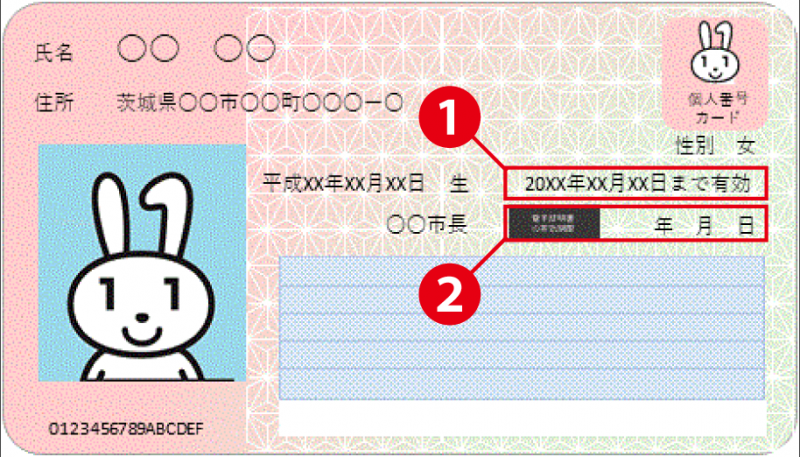 マイナンバーカード（マイナンバーカードの券面に、カードの有効期限と電子証明書の有効期限が記載されています。）