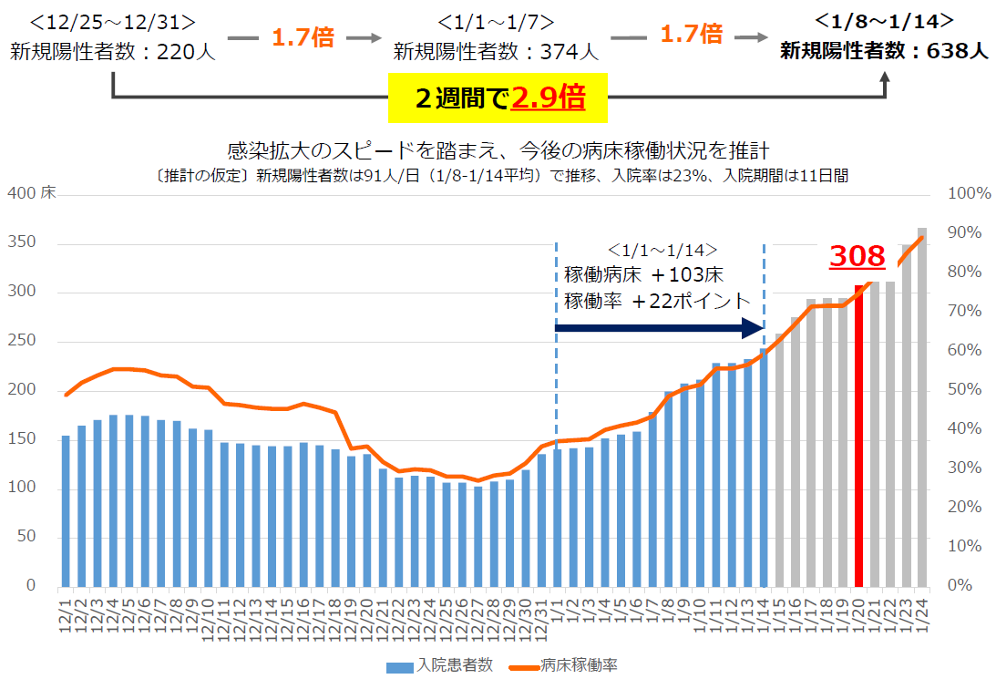 感染状況に基づく病床稼働状況の推計