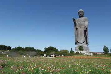 牛久阿弥陀大佛中