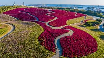 グルメヘリツアー＆フラワーツーリズム