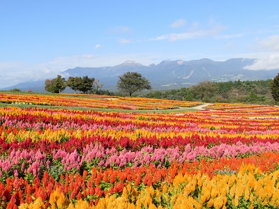 那須フラワーワールド