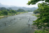 久慈川のアユ釣り