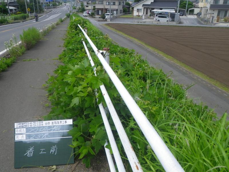 除草前