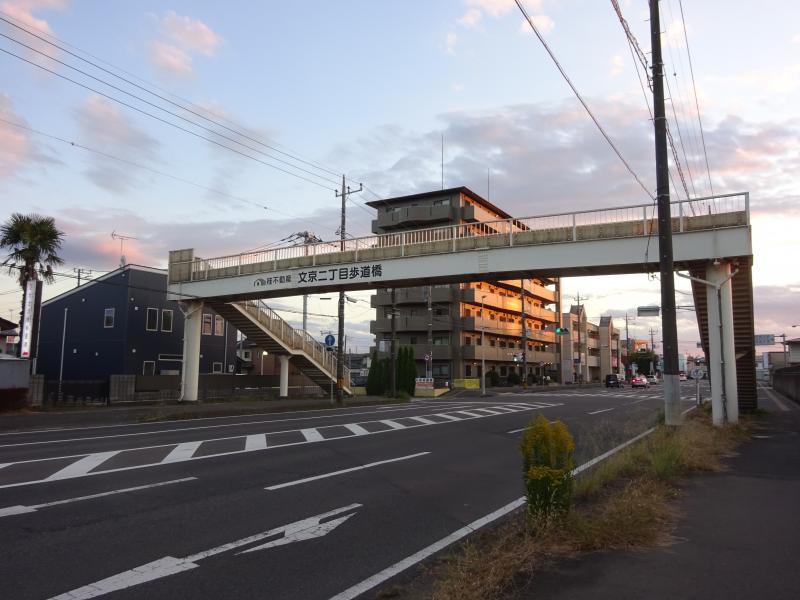 写真、桂不動産文京二丁目歩道橋1