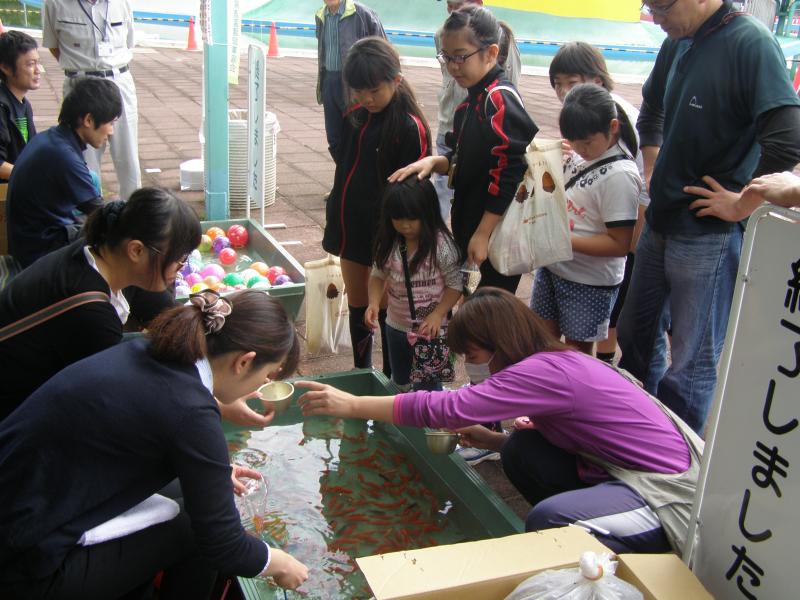 砂沼広域公園の緑化際金魚すくいの写真