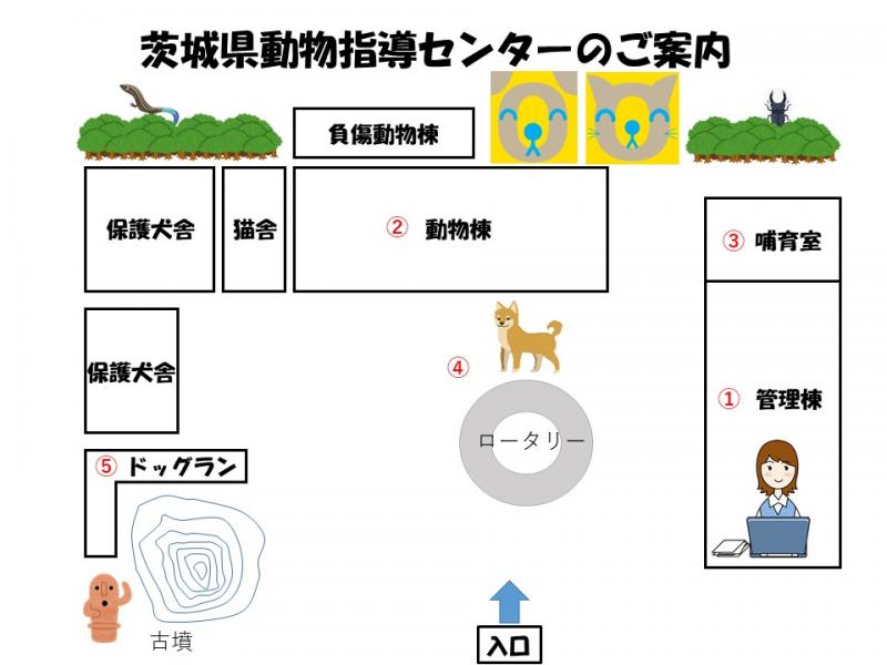 センター全体図