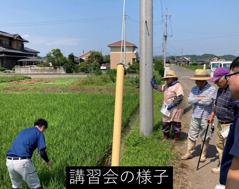 なかぼしこうしゅうかいのようすのしゃしん