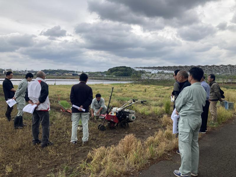 ねぎプロジェクト定植講習会