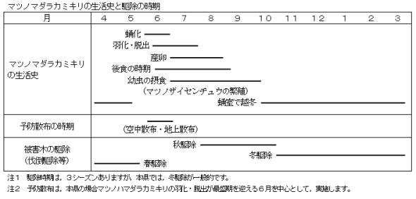 マツノマダラカミキリの生活史と駆除の時期