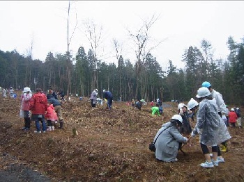 写真、参加者による植樹の様子