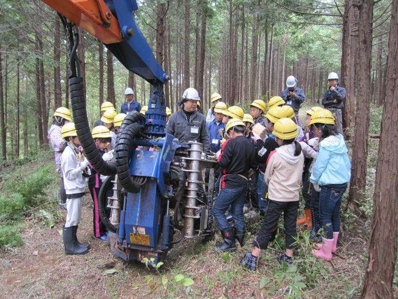 写真、高性能林業機械による間伐作業の見学の様子