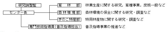 組織と役割分担