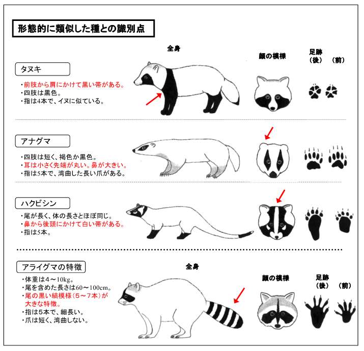 2021env_go_jp_1hp_honyurui